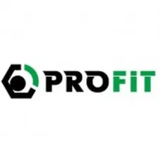 Повітряний фільтр для автомобіля Profit 1512-4291