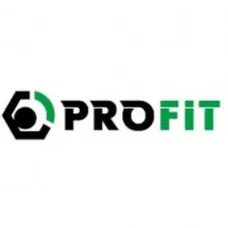 Повітряний фільтр для автомобіля Profit 1512-4296