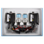 Автолампа WINSO H1 6000K, 85V, 35W P14.5s (741600)