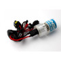 Автолампа WINSO H7 5000K, 85V, 35W PX26d (747500)