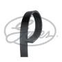 Поліклиновий ремінь Gates 6PK1123