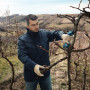 Секатор Bosch Pro Pruner, 12V, 2х3Ah (0.601.9K1.021)