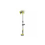 Щітка для миття Ryobi ONE+ R18TPS 18В, диск 15см, 210 об/хв, IPX7 (без АКБ та ЗП) (5133004847)
