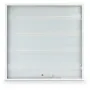 Светильник TITANUM 40W 6500K 220V PRISMATIC (TL-PR406W)
