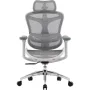 Офісне крісло Sihoo DORO C300L Mesh White (DORO-C300L-A3-102)