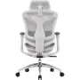 Офісне крісло Sihoo DORO C300L Mesh White (DORO-C300L-A3-102)