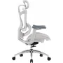 Офісне крісло Sihoo DORO C300L Mesh White (DORO-C300L-A3-102)