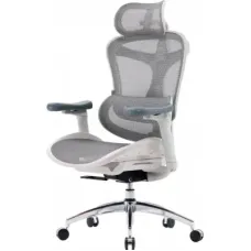 Офісне крісло Sihoo DORO C300L Mesh White (DORO-C300L-A3-102)