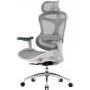 Офісне крісло Sihoo DORO C300L Mesh White (DORO-C300L-A3-102)