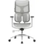 Офисное кресло Sihoo DORO S100 Mesh White (S100-M302)