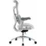 Офисное кресло Sihoo DORO S100 Mesh White (S100-M302)