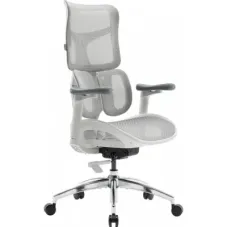 Офисное кресло Sihoo DORO S100 Mesh White (S100-M302)