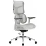 Офисное кресло Sihoo DORO S100 Mesh White (S100-M302)