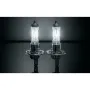 Автолампа PULSO H1/P14.5S 12v55w+50 X-treme Vision/plastic box (LP-12553)