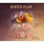 Ароматизатор для автомобиля Vitol Home Sticks Winter Plum 130 мл (VHS06)