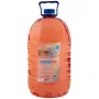 Омивач автомобільний Vitol Дюшес 5л (VV-52)