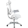 Офісне крісло Sihoo C300 LITE V2, White (C300-LITE-V2-B102)