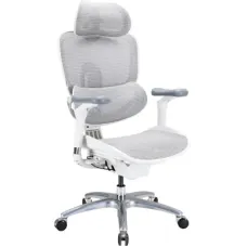 Офісне крісло Sihoo C300 LITE V2, White (C300-LITE-V2-B102)