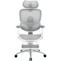 Офисное кресло Sihoo C300 LITE V2, White, с подставкой для ног (C300-LITE-V2-B102-JT)