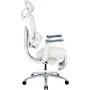 Офисное кресло Sihoo C300 LITE V2, White, с подставкой для ног (C300-LITE-V2-B102-JT)