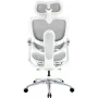 Офисное кресло Sihoo C300 LITE V2, White, с подставкой для ног (C300-LITE-V2-B102-JT)