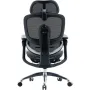 Офісне крісло Sihoo C300 PRO V2, Black (C300-PRO-V2-B101)