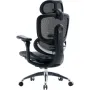 Офісне крісло Sihoo C300 PRO V2, Black (C300-PRO-V2-B101)