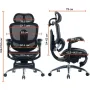 Офисное кресло Sihoo C300 PRO V2, Black, с подставкой для ног (C300-PRO-V2-B101-JT)