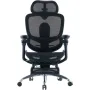 Офисное кресло Sihoo C300 PRO V2, Black, с подставкой для ног (C300-PRO-V2-B101-JT)