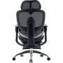 Офисное кресло Sihoo C300 PRO V2, Black, с подставкой для ног (C300-PRO-V2-B101-JT)