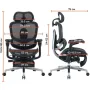 Офисное кресло Sihoo C500 V2, Black, с подставкой для ног (C500-V2-B101-JT)