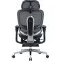 Офисное кресло Sihoo C500 V2, Black, с подставкой для ног (C500-V2-B101-JT)