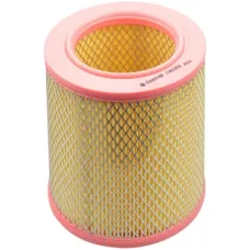 Воздушный фильтр для автомобиля Castrol Filters CA0359
