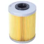 Фильтр топливный Castrol Filters CF0408